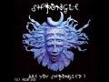 Shpongle - Crystal Skulls
