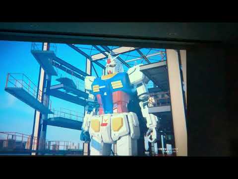 動画