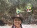 Tema : Totora pampa ..... (los hijos de tintay)