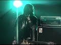 summerbirds in the cellar
