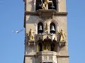 Il gallo del campanile del Duomo di Messina a mezzogiorno