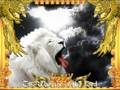 videos de Warrior Music - Legacy of King