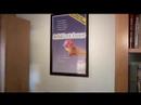 The Original YouTube Divorce Video