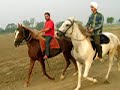 country side horse riding