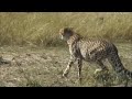 Viaggi Kenia 2006  \