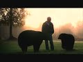 the man who lives with bears
