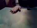daniel y esteban tech deck