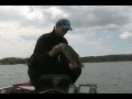Smallmouth Bass - Door County