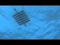 Quatre robots marins vont collecter des données sur l’état des océans!