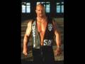 Kane and Stone Cold as a tag team