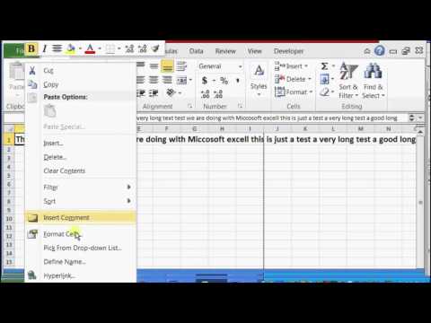 how to fit text in excel