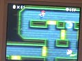webkinz play ds