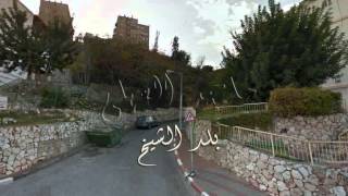 صور بلد الشيخ صور بلد الشيخ