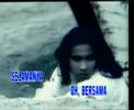 haloo