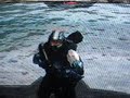 halo 3 lower weapon glitch