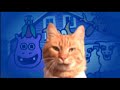 Catnip Season and Leash Walking Catnip Season and Leash Walking