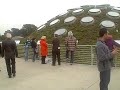 View from atop the California Academy of Sciences View from atop the California Academy of Sciences