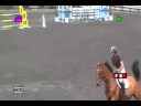 Centor Z- Junior Amateur Horse