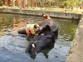 Guruvayoor Anakottil -Punnathoorkotta