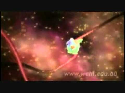 how to turn dna into rna