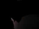 Thumbnail #1