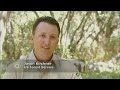 The Science of Fire - KQED QUEST The Science of Fire - KQED QUEST