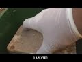 Eliminaci�n de termitas en Estepa