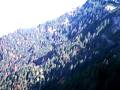 videos de Rigi Staffelhöhe-Goldau, 11.10.08, Teil 1