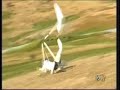 Prototype Hang Glider Crash