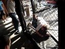 Nathan Quinn cage fighting eastmoor grappling competition Nathan Quinn cage fighting eastmoor grappling competition