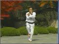 Poomse Keumgang