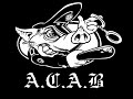 reprezentuje-jp-acab-chwdp.html