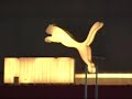 プーマ