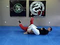 basic arm bar from mount