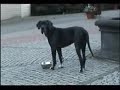 TRABAJANDO EN ALEMANIA 1