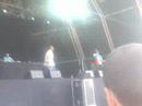 Black Bee viña rock 2008 Deja que me exprese