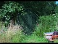 Unusual wasp nest