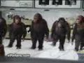 Ape lord of the dance