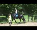 Reitstunde