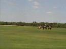 Polo Tournament 2006
