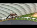 Boo on the trampoline