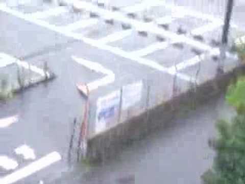 Weekend Typhoon At Tsukuba