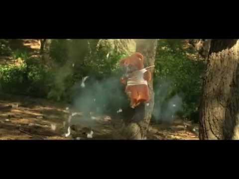 Image de prévisualisation YouTube