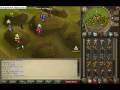 videos de 2speced chaos