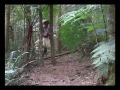 Indios Kariri Xoco - Brasil