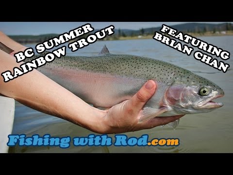 rainbowtrout - For more fishing videos, please visit: http://www.fishingwithrod.com In this video feature, we visit Logan Lake in British Columbia with Brian Chan, who is a...