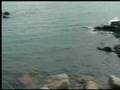 Nick Cave There She Goes, My Beautiful World Official Music Video and Lyrics