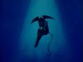 AMV - DevilLady - Going Under
