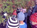 Utra School Joensuu Finland - Video of ENO Tree Planting Day 2008 2/2