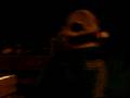 videos de taureau pisine en vacanse